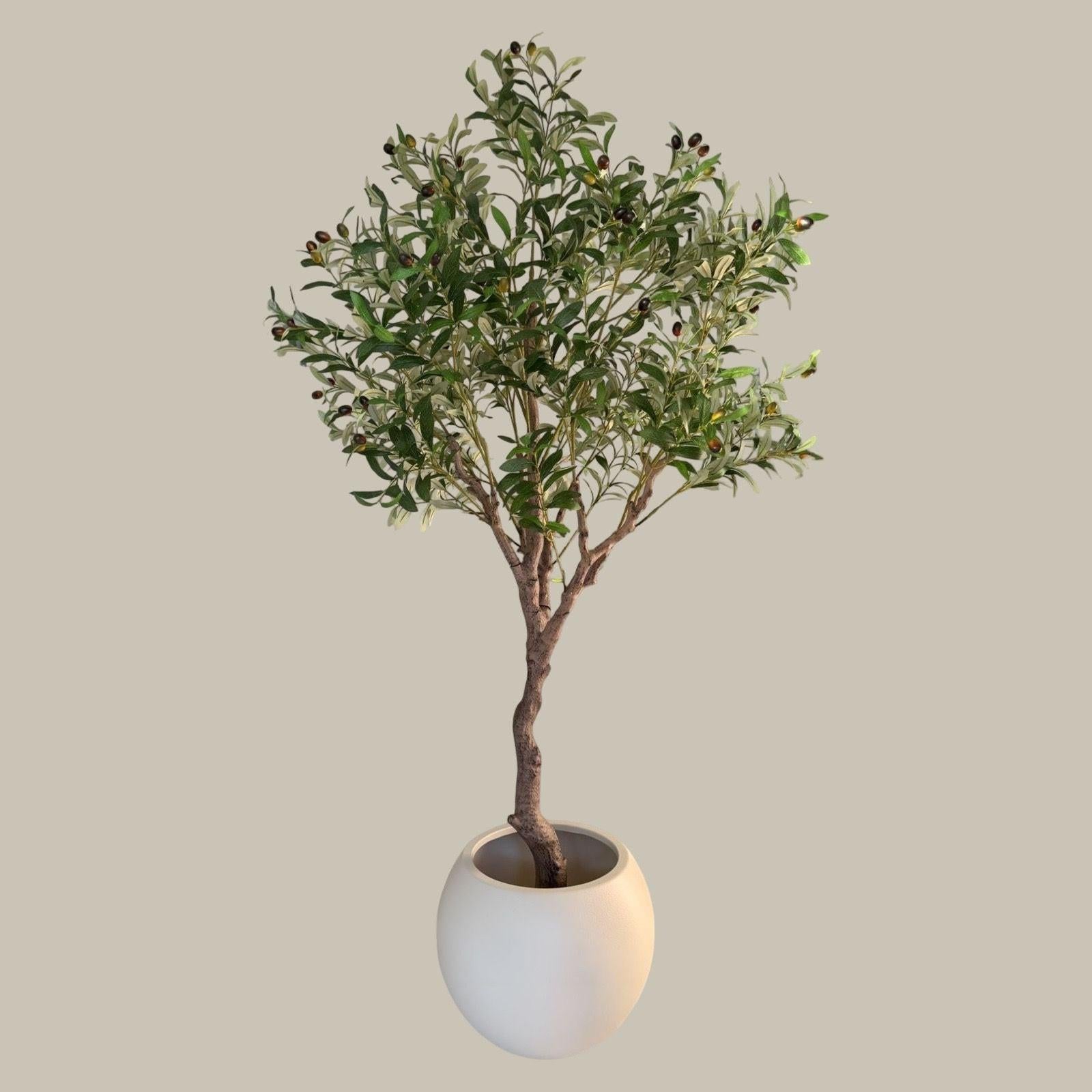 Large Modern Round Pot.