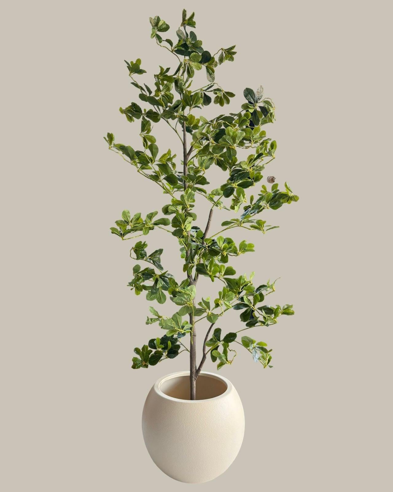 Artificial Lifelike Tall Black Olive Tree 180CM.
