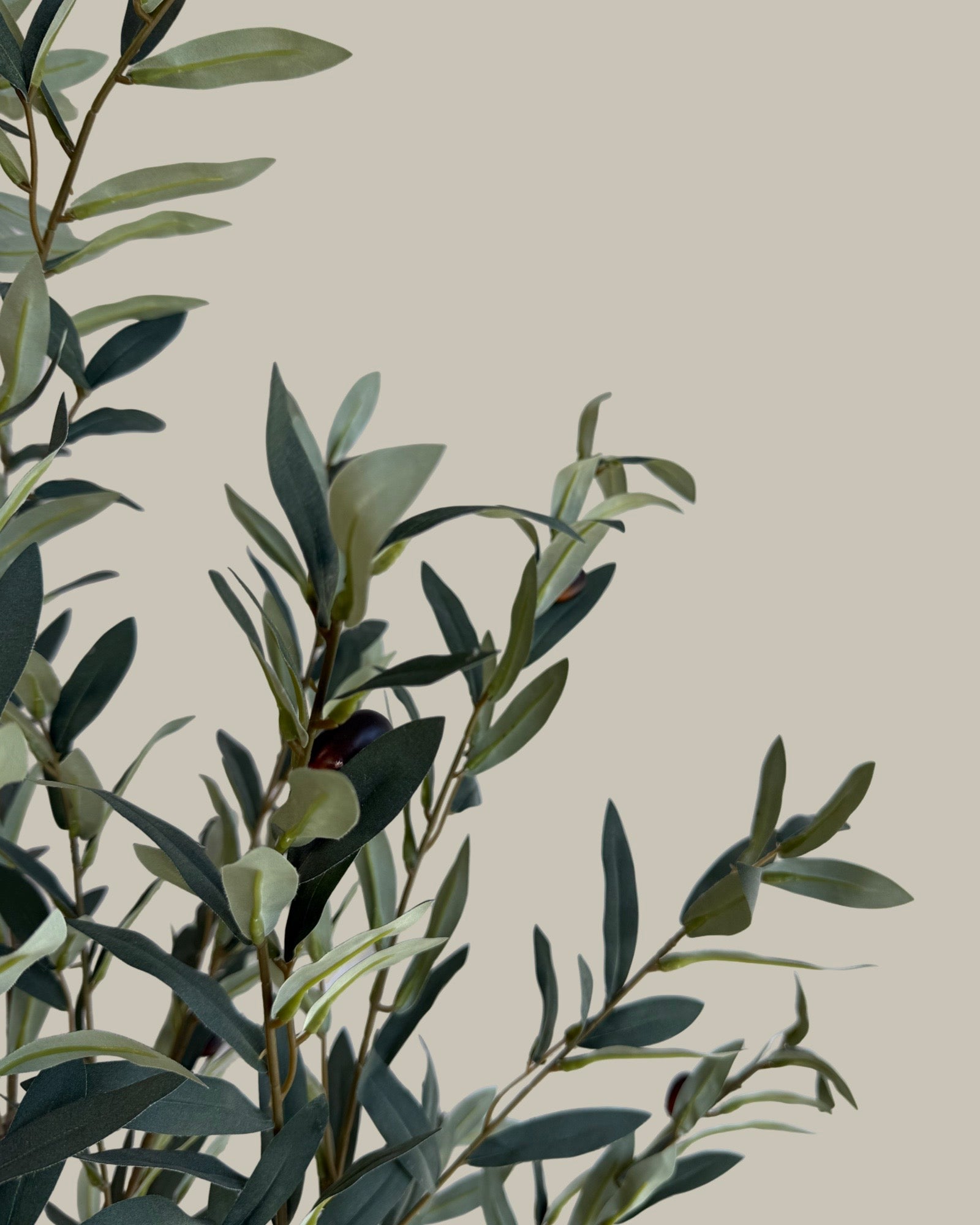 Faux Lush & Luxe Olive Tree 170CM