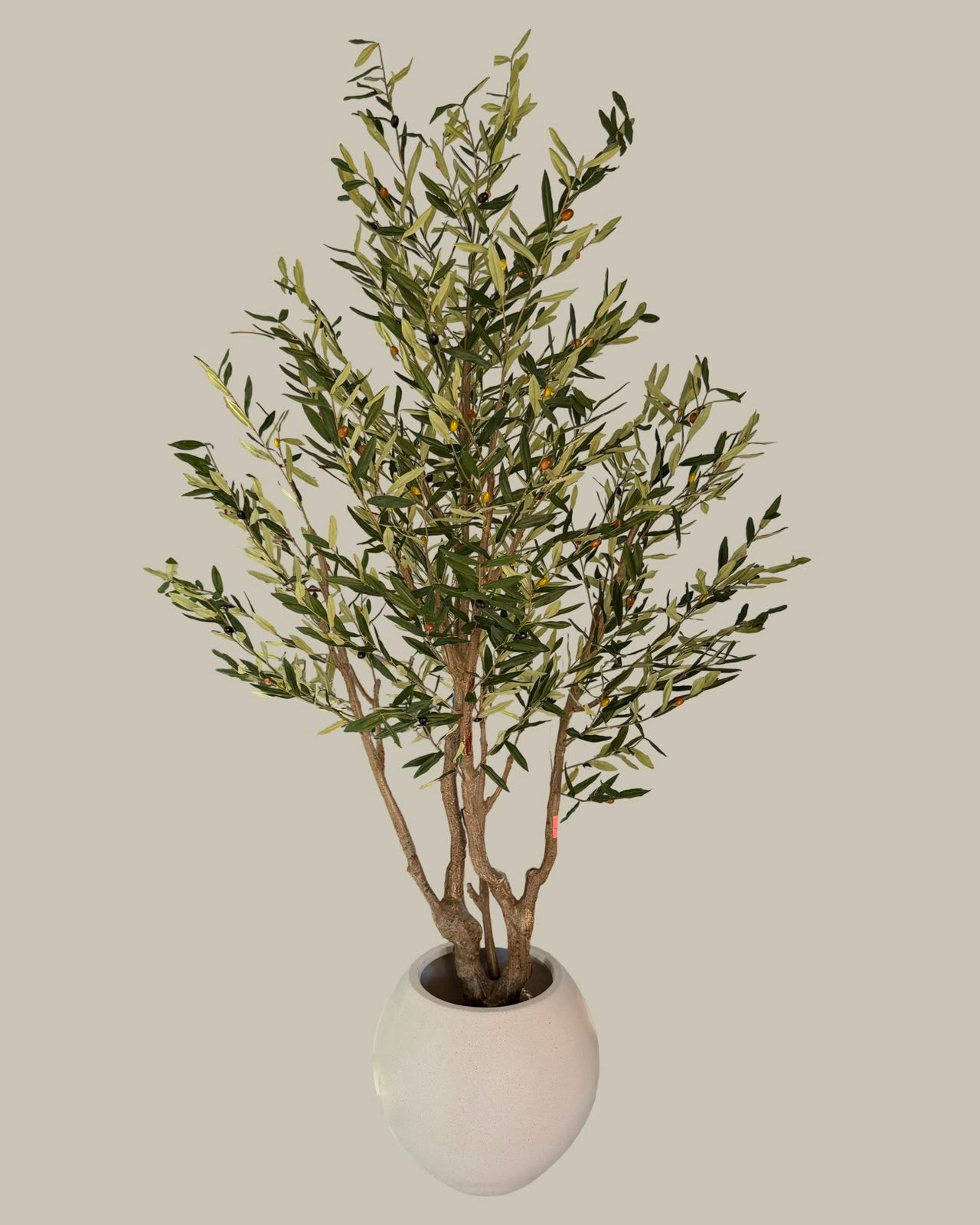 Faux Luxe Olive Tree 220CM