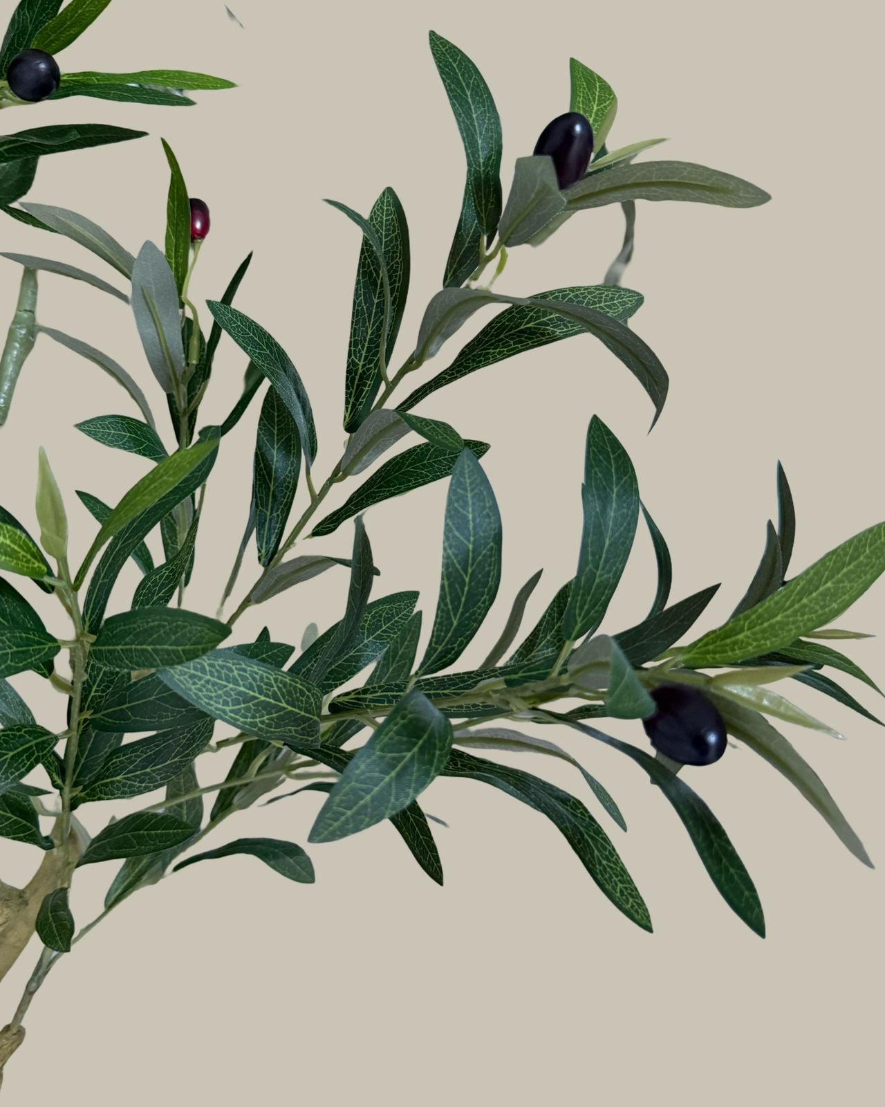 Faux Giant Olive Tree 240CM