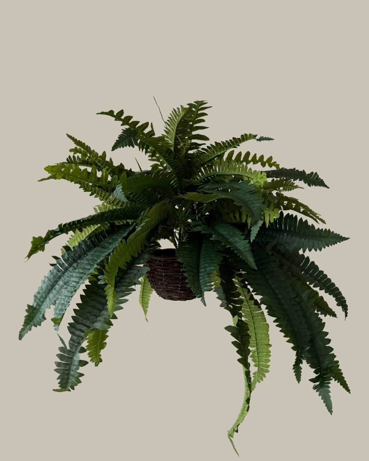 Faux Ferns with Rattan Hanging Basket (Set of 2)