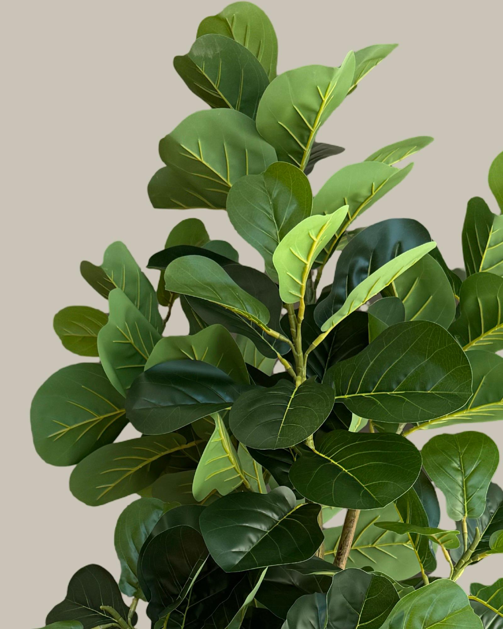Faux Potted Fiddle Fig Leaf Tree 180CM