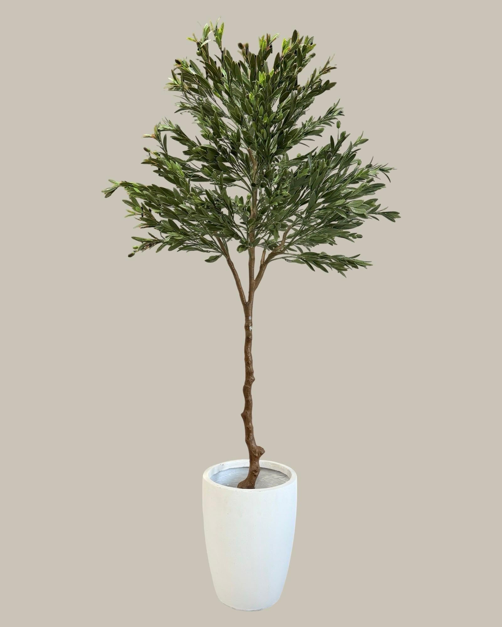 Artificial UV Protected Giant Tall Olive Tree 210CM.