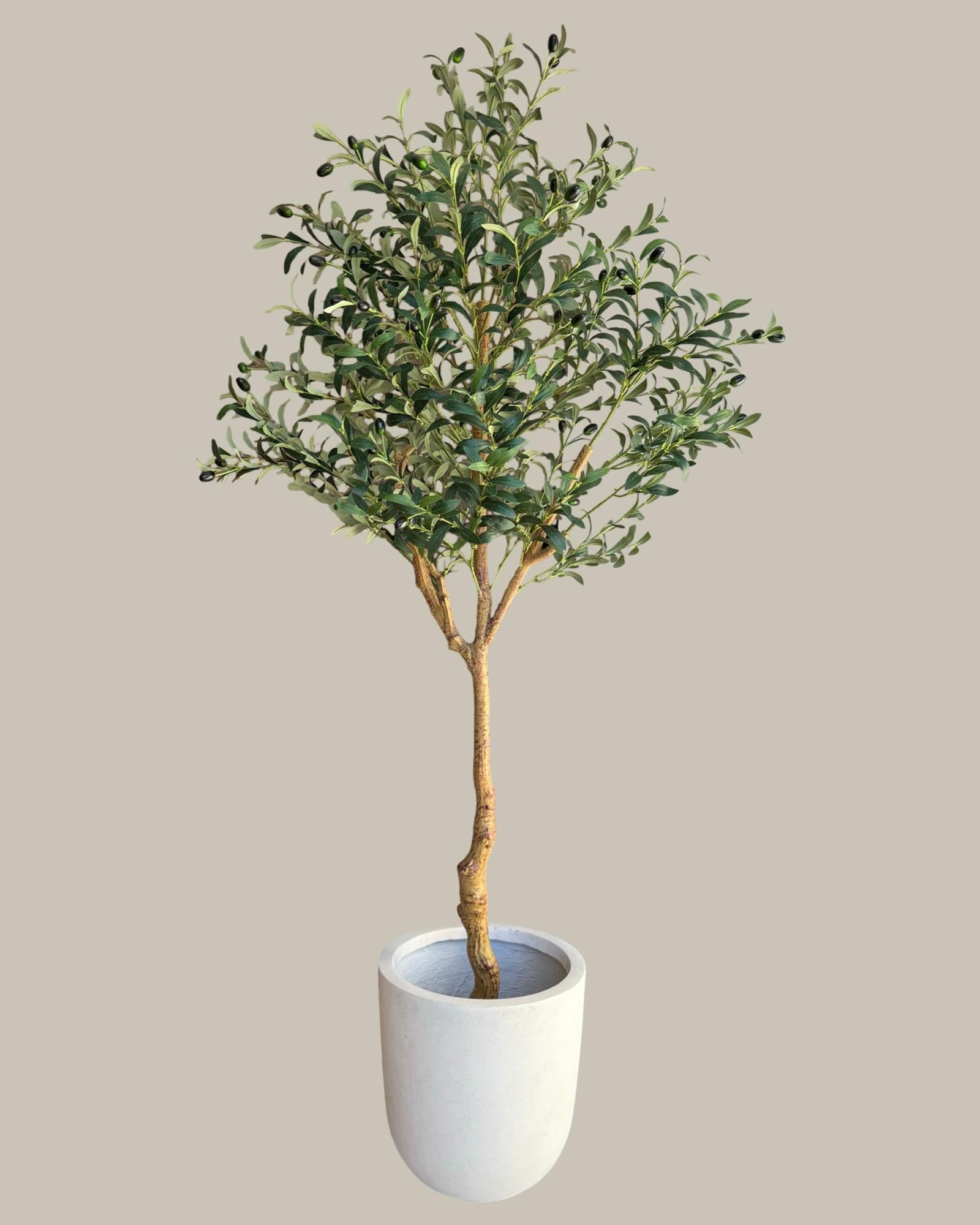 Artificial Olive Tree 180CM