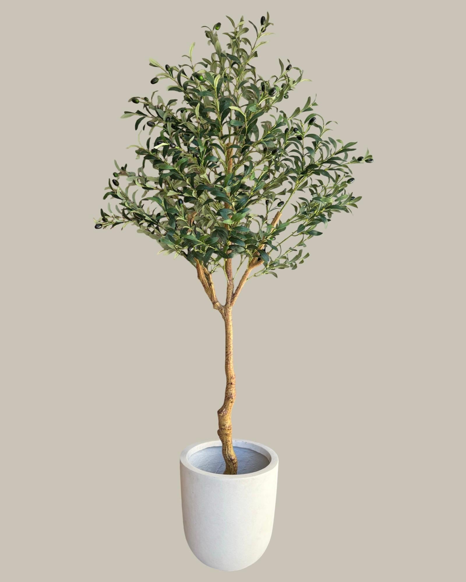 Artificial Olive Tree 180CM.