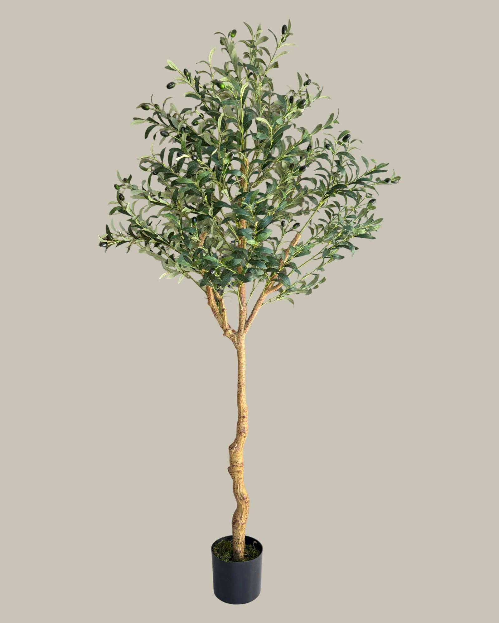 Artificial Olive Tree 180CM