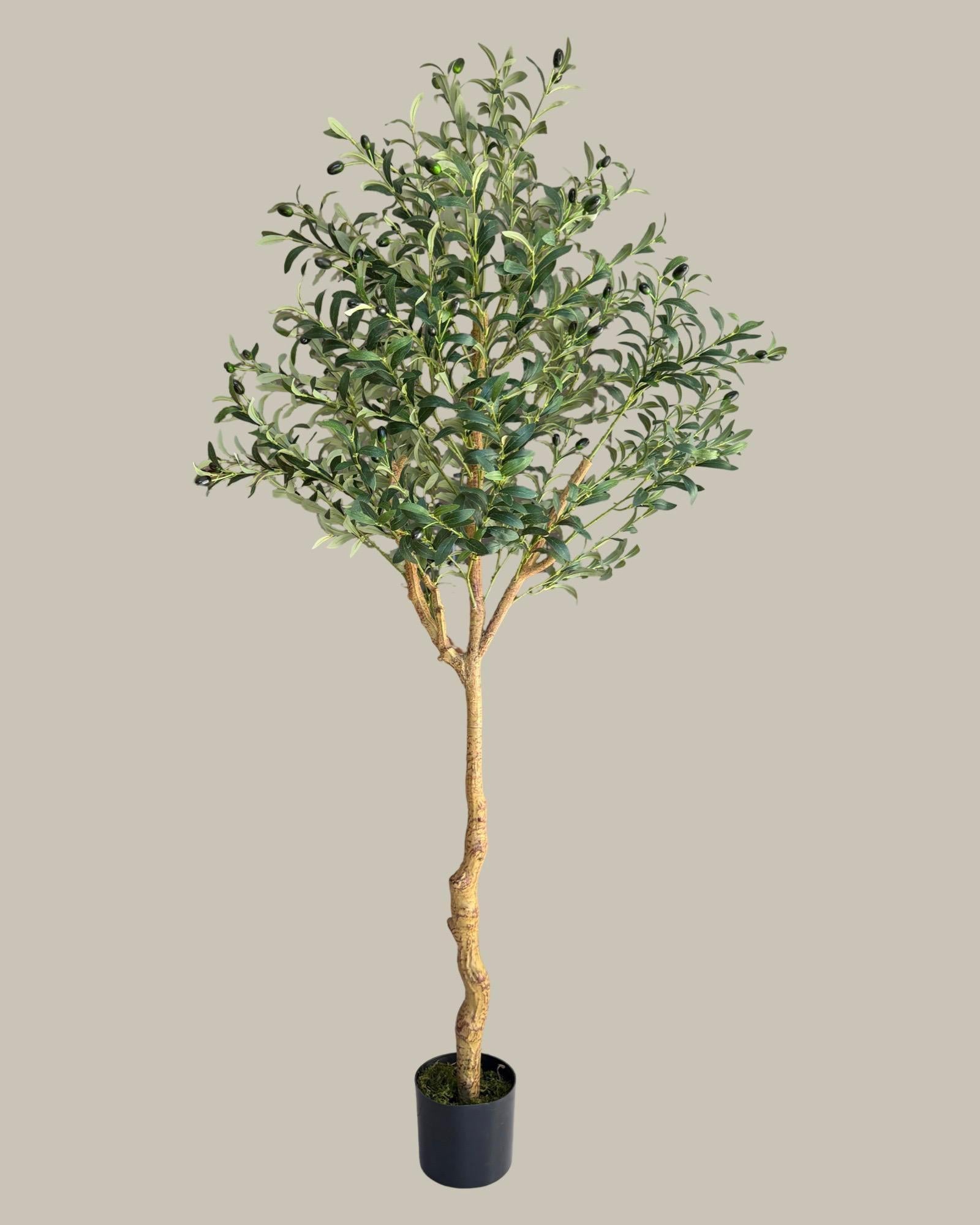 Artificial Olive Tree 180CM.