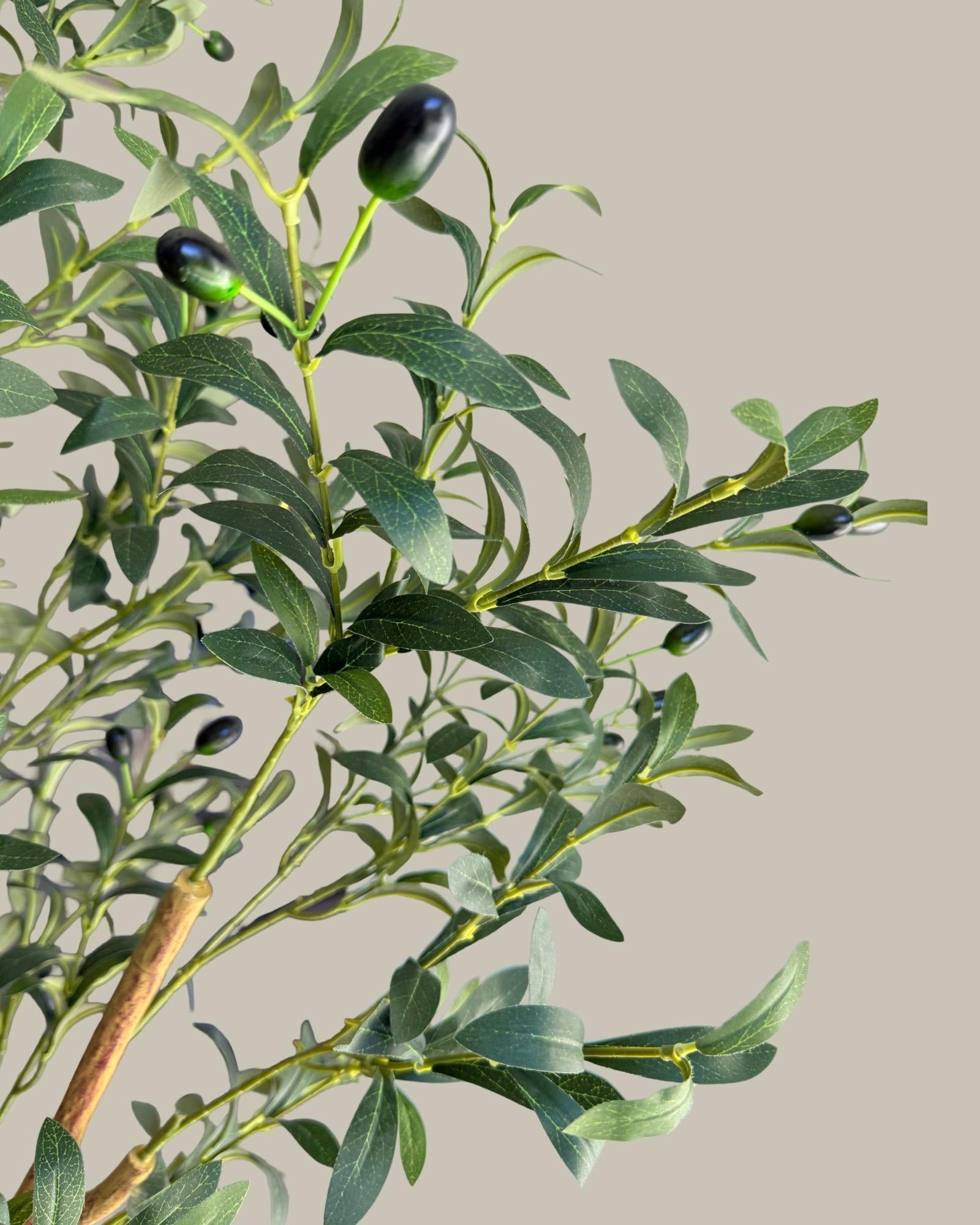 Artificial Olive Tree 180CM.