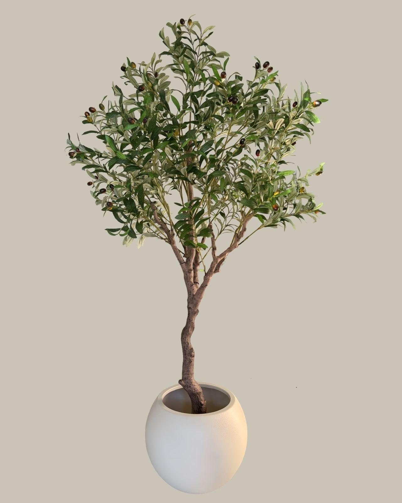 Faux Giant Multi Branch Olive Tree 1.8M.
