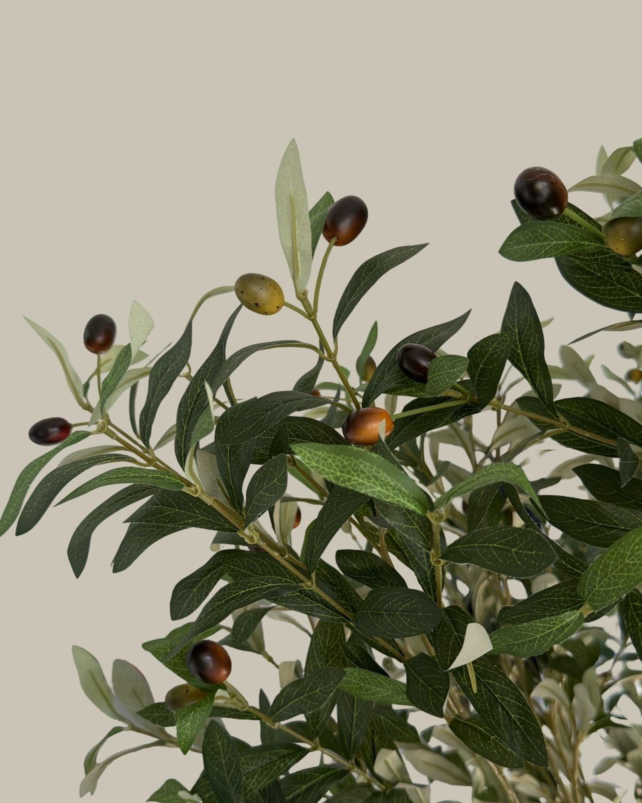 Faux Giant Multi Branch Olive Tree 1.8M.