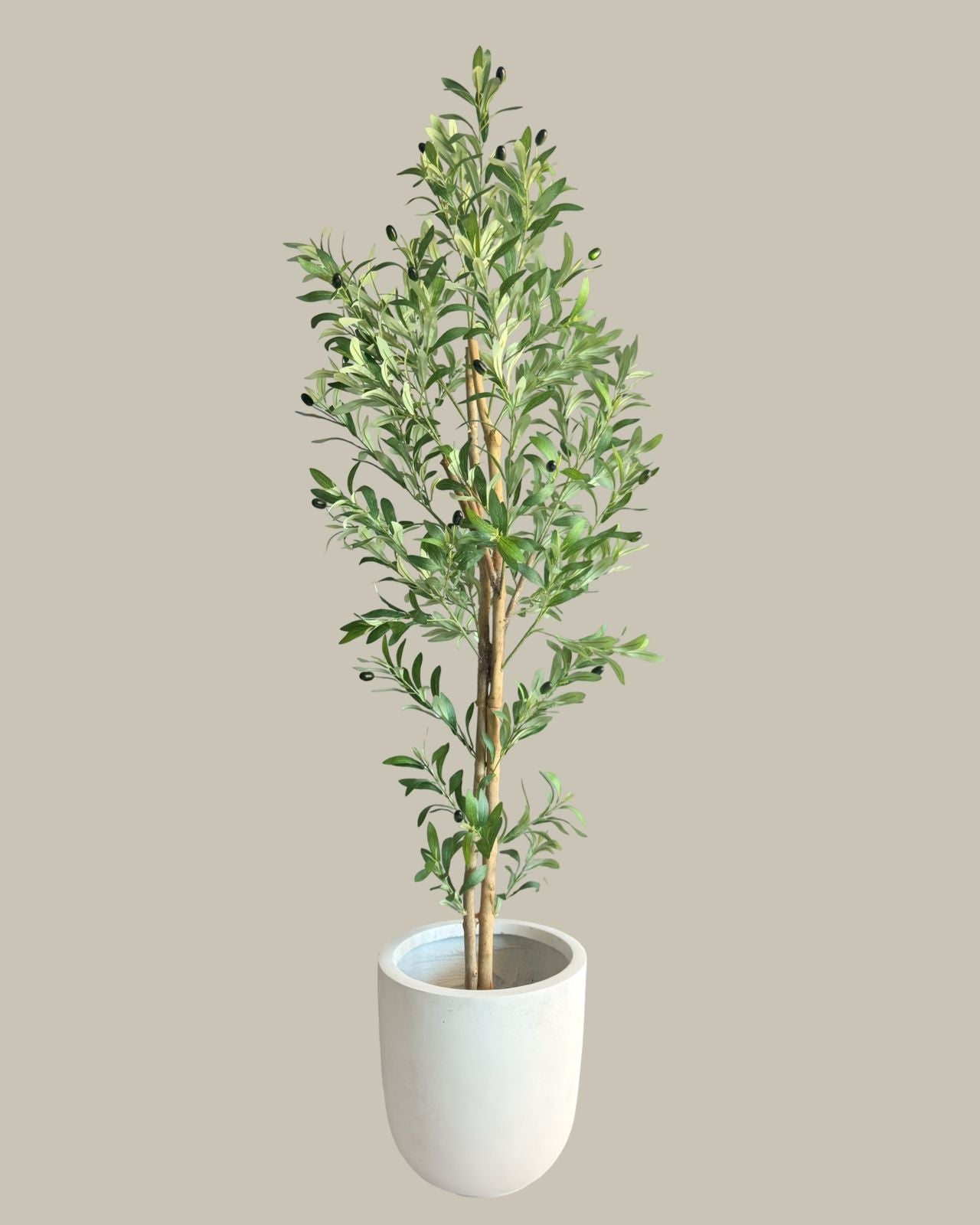 Artificial Olive Tree with Real Wood Trunk 180CM