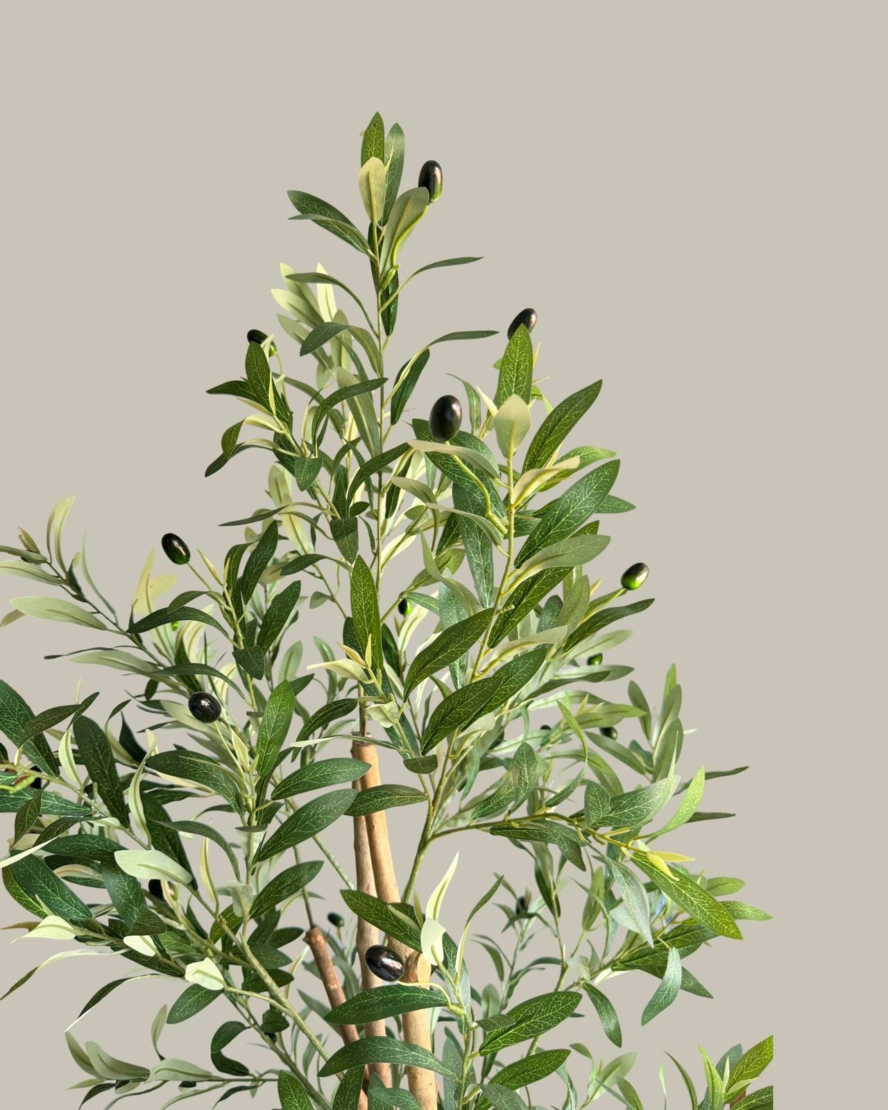Artificial Olive Tree with Real Wood Trunk 180CM