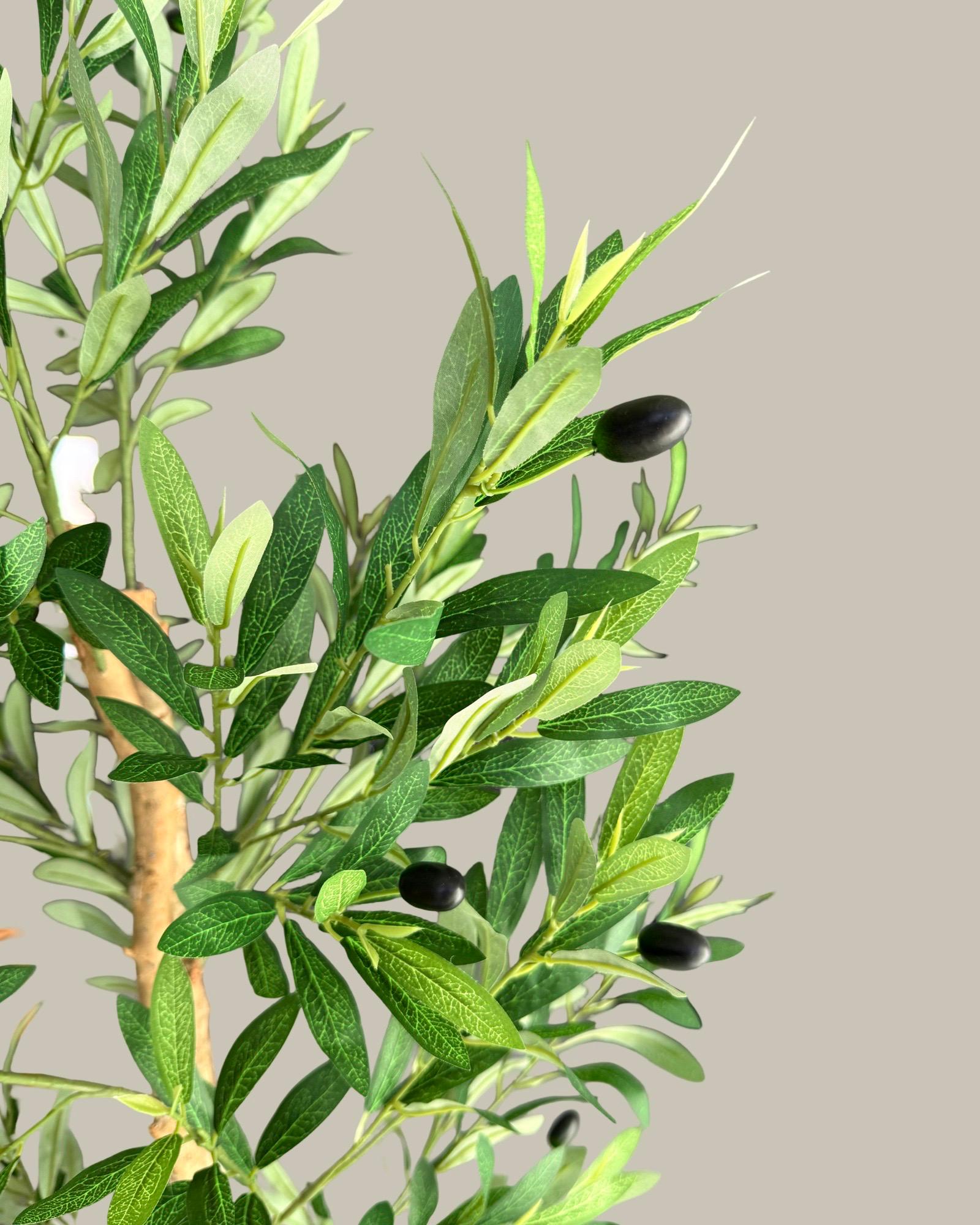 Artificial Olive Tree with Real Wood Trunk 160CM