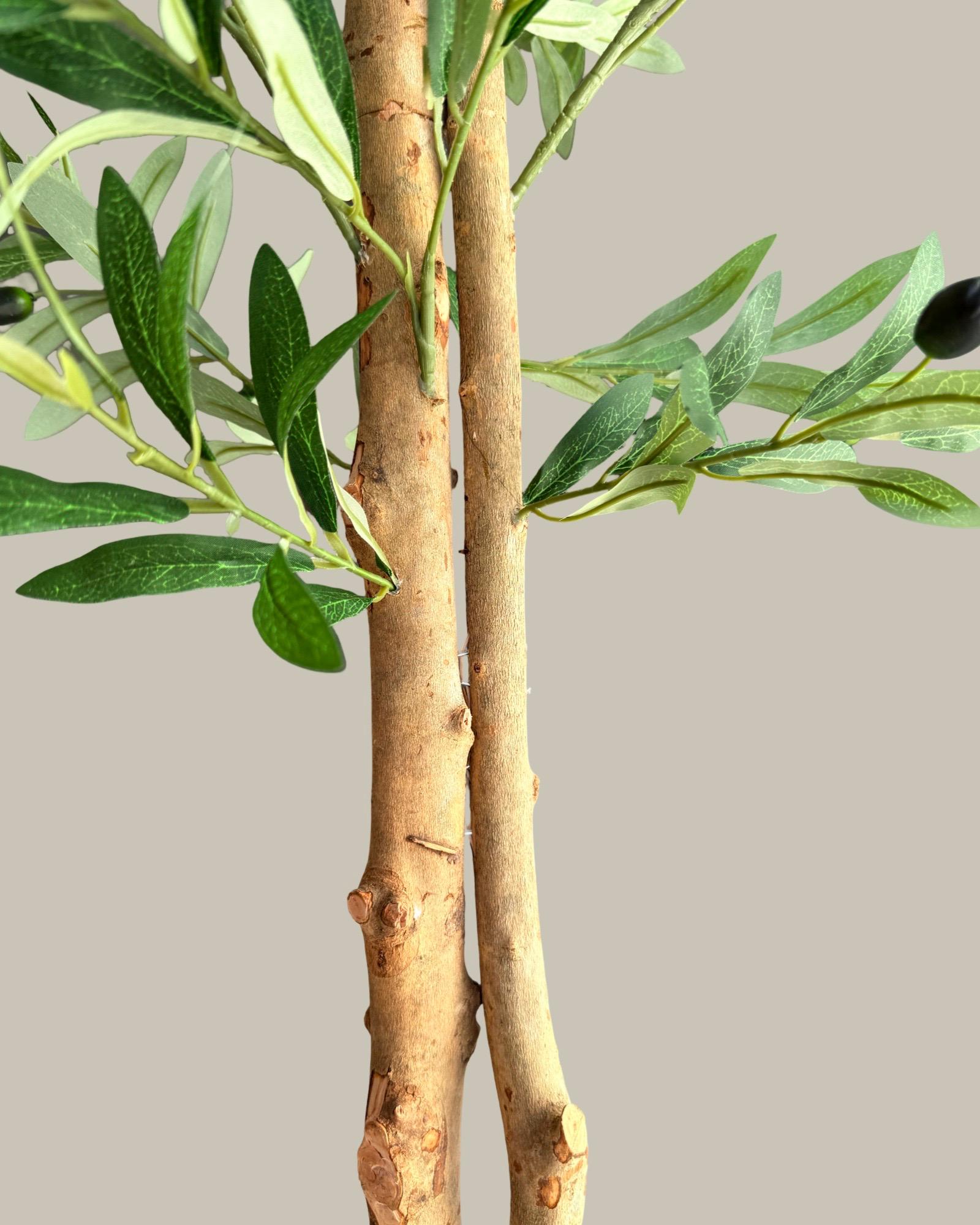 Artificial Olive Tree with Real Wood Trunk 160CM
