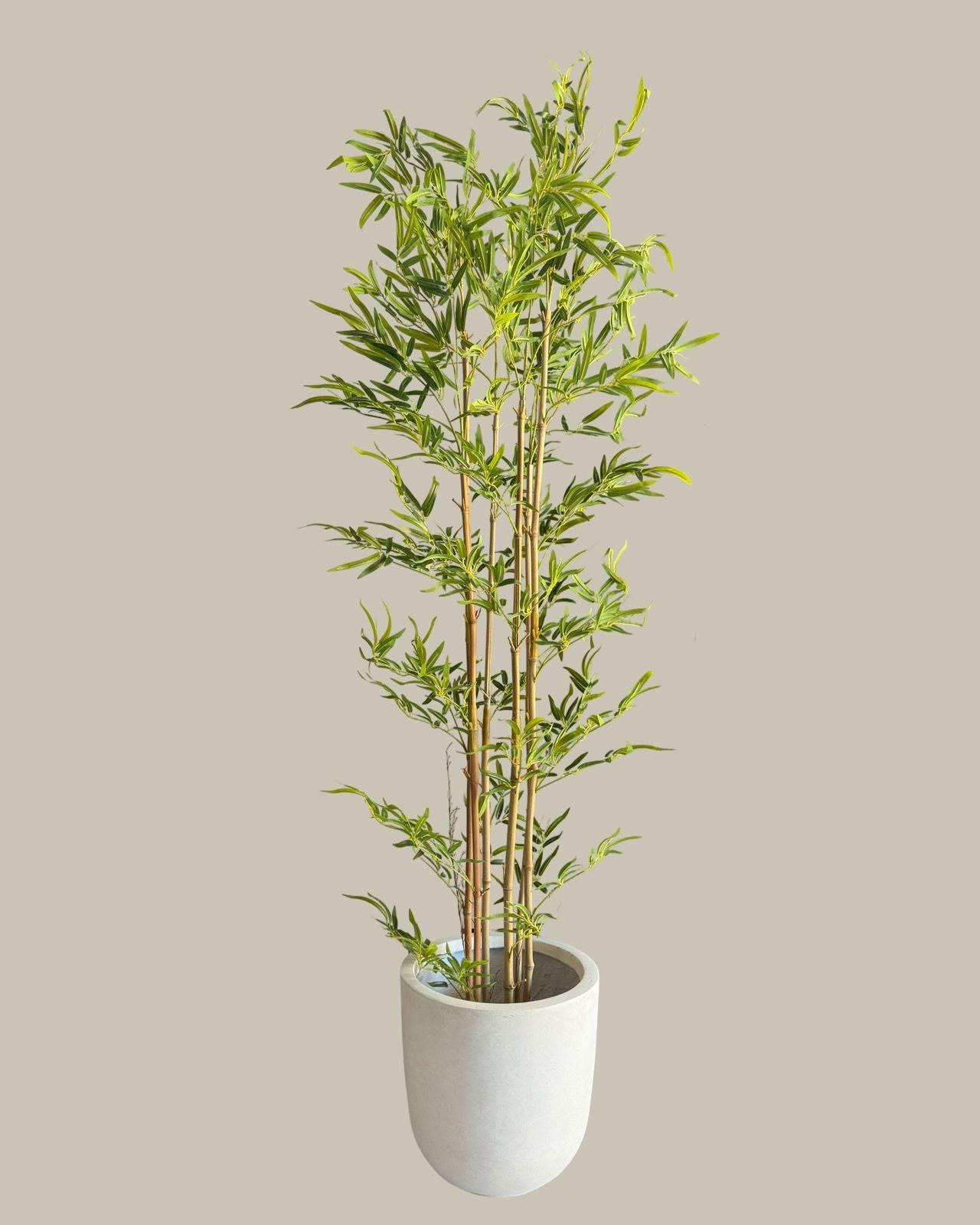 Artificial Bamboo Tree with Real Bamboo Trunk 180CM.