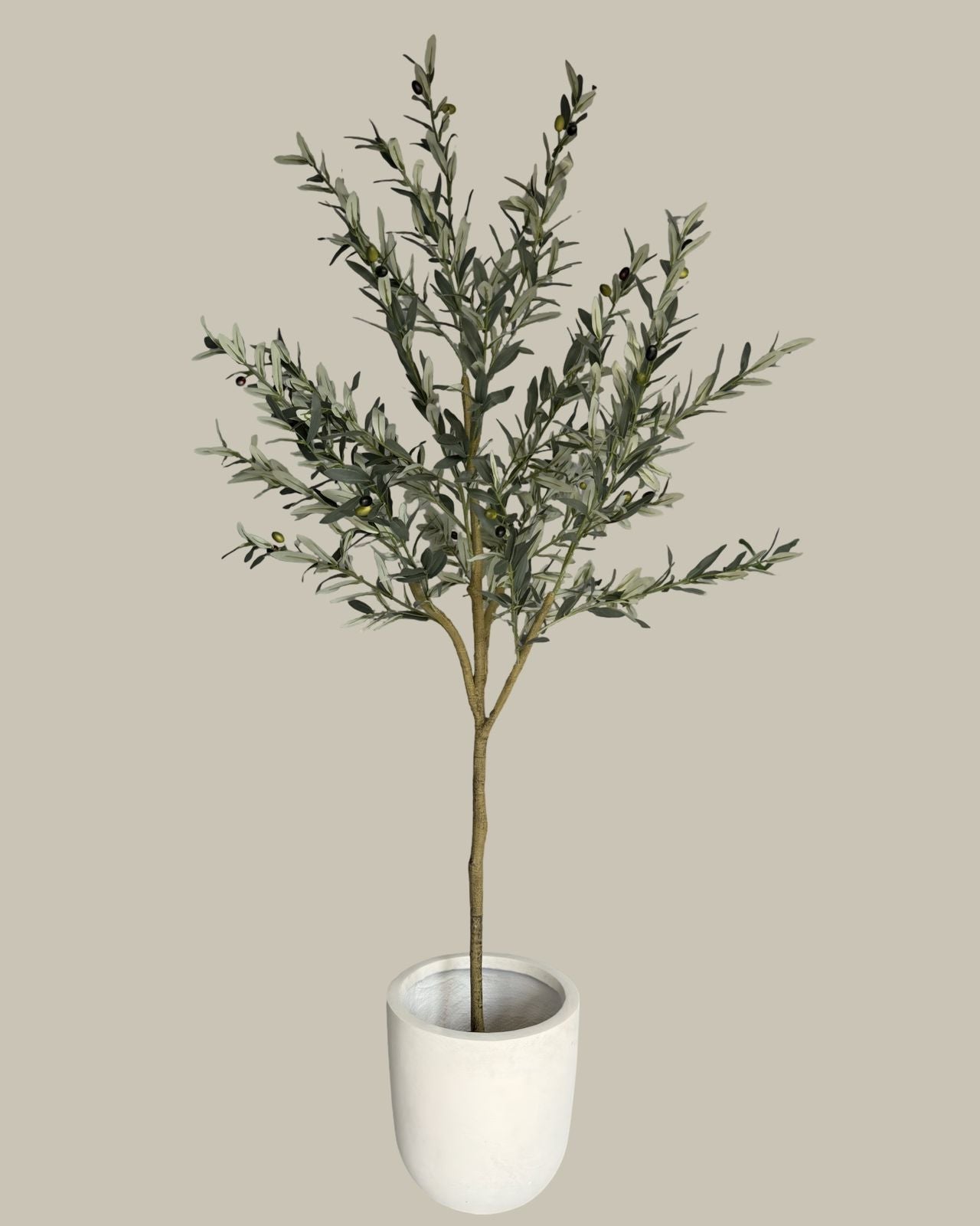 Premium Faux Olive Tree 180CM