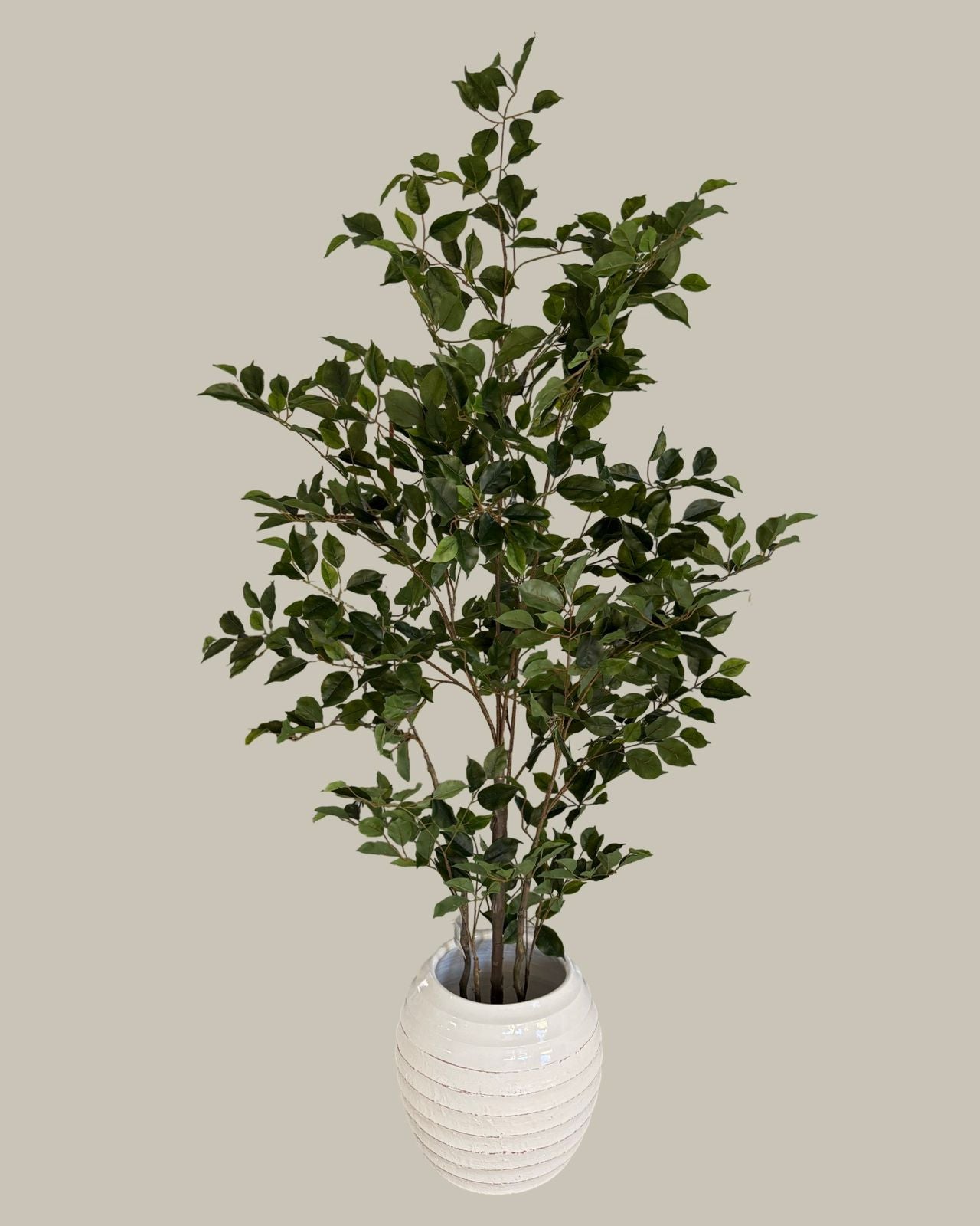 Luxe Faux Ficus Tree 180cm