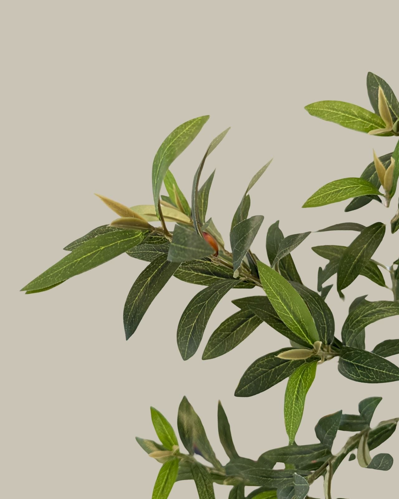 Faux Majestic Olive Tree 210CM