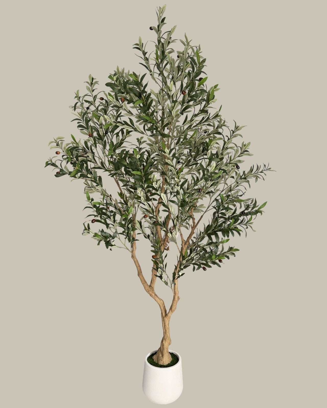 Faux Majestic Olive Tree 2.4M