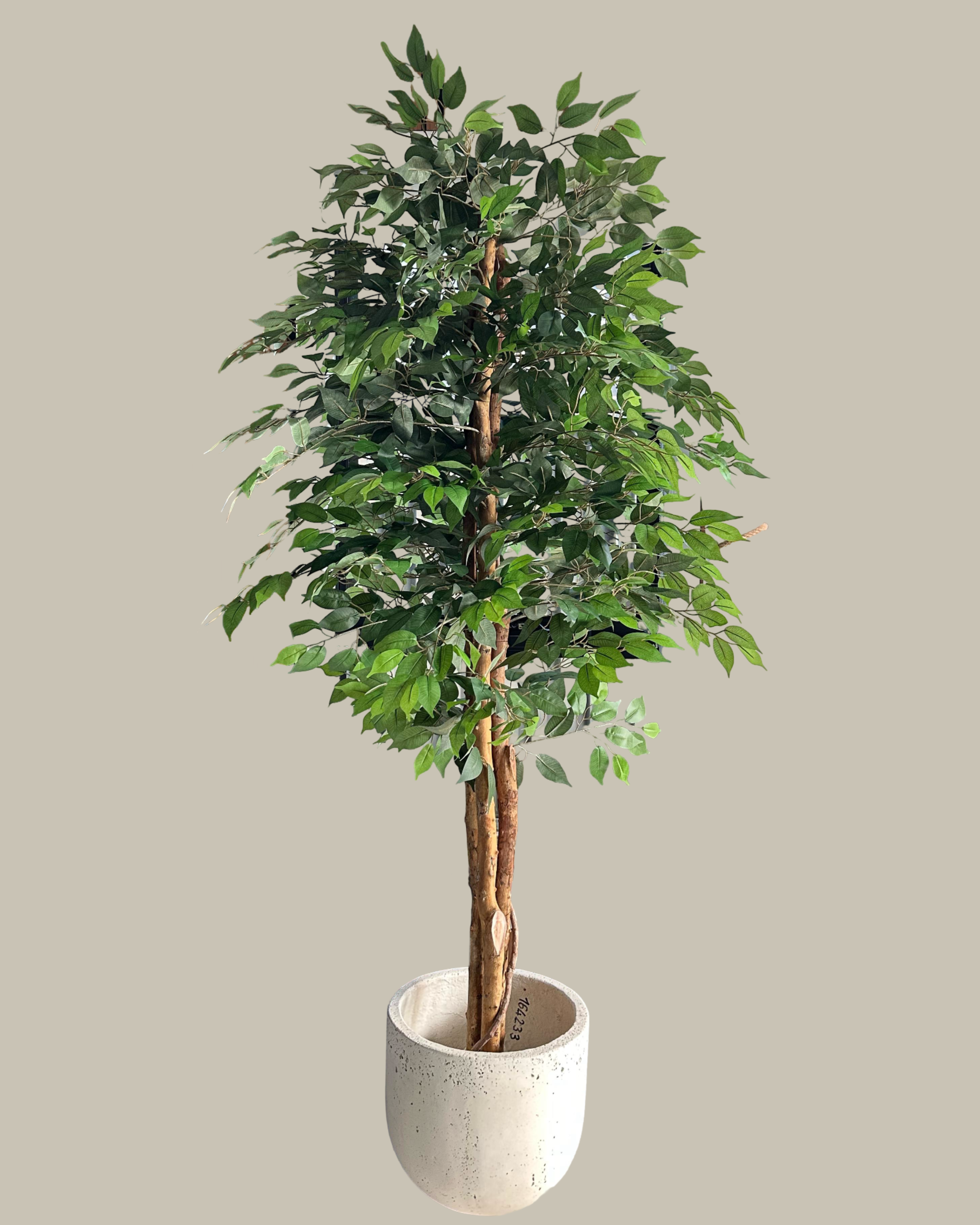 Faux Potted Tall Ficus Tree 215CM