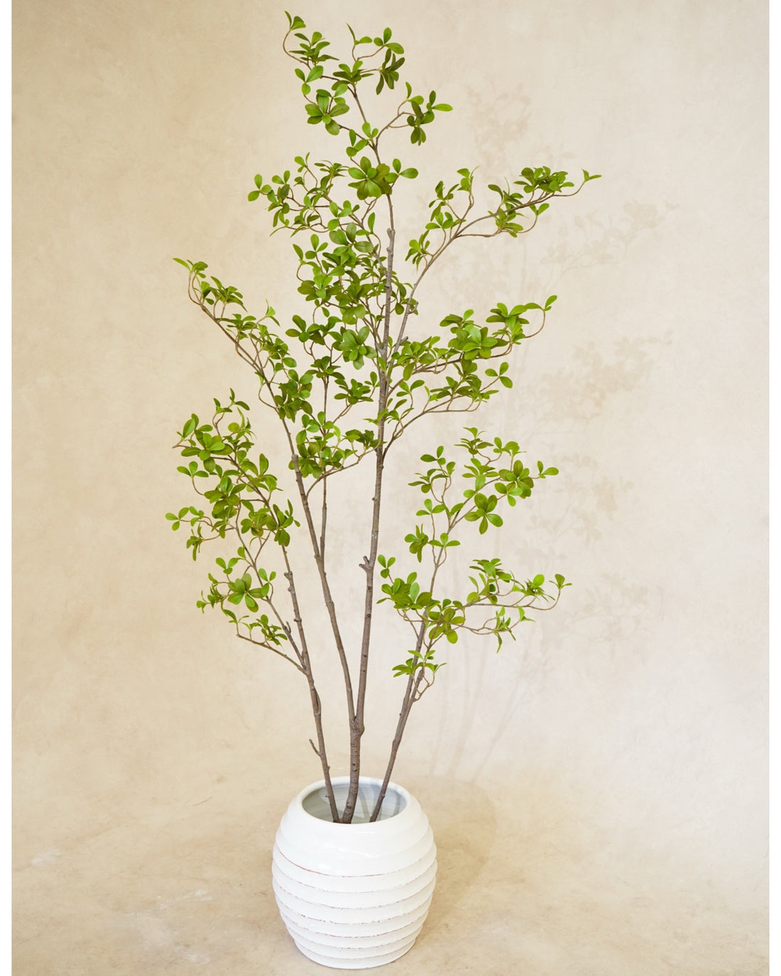 Faux Cape Jasmine Tree 180CM