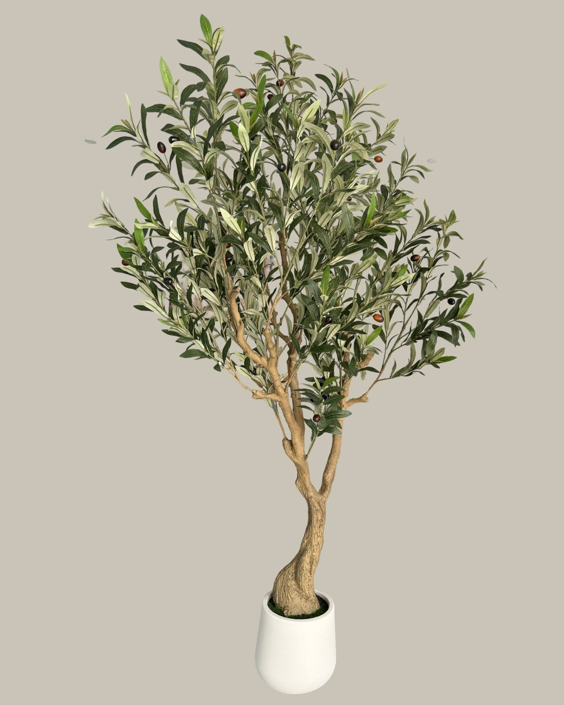 Faux Olive Tree 180CM — Realistic Indoor Statement Tree