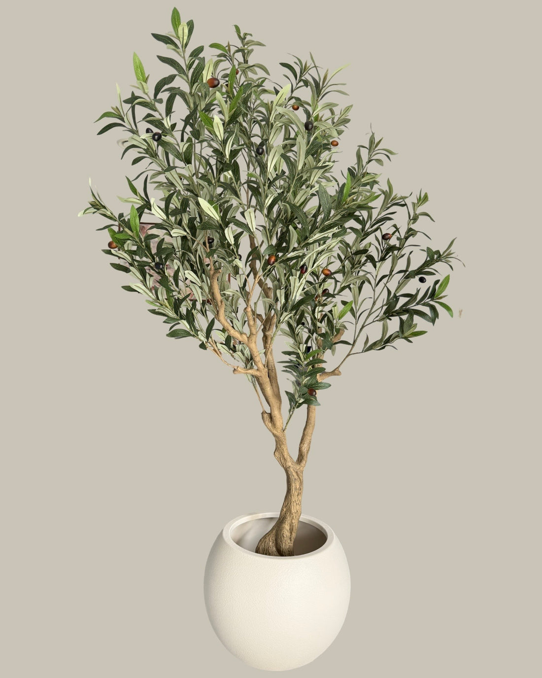 Faux Olive Tree 180CM — Realistic Indoor Statement Tree