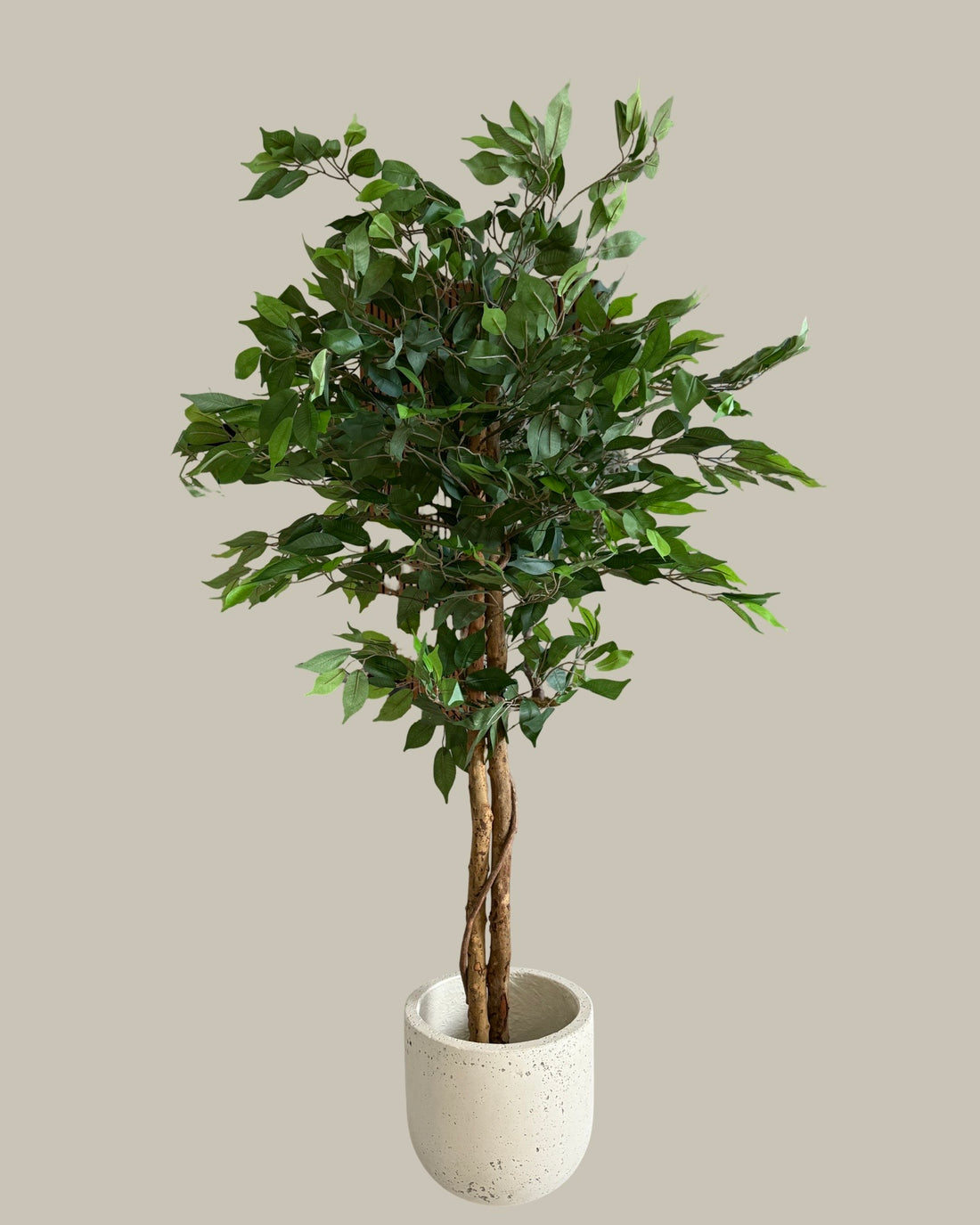 Faux Potted Ficus Tree 160CM