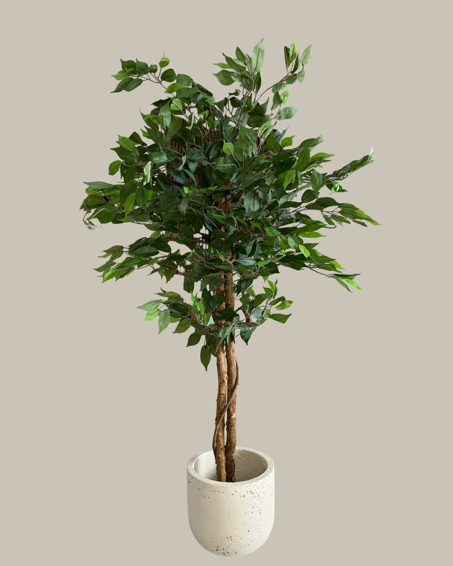 Faux Potted Ficus Tree 160CM