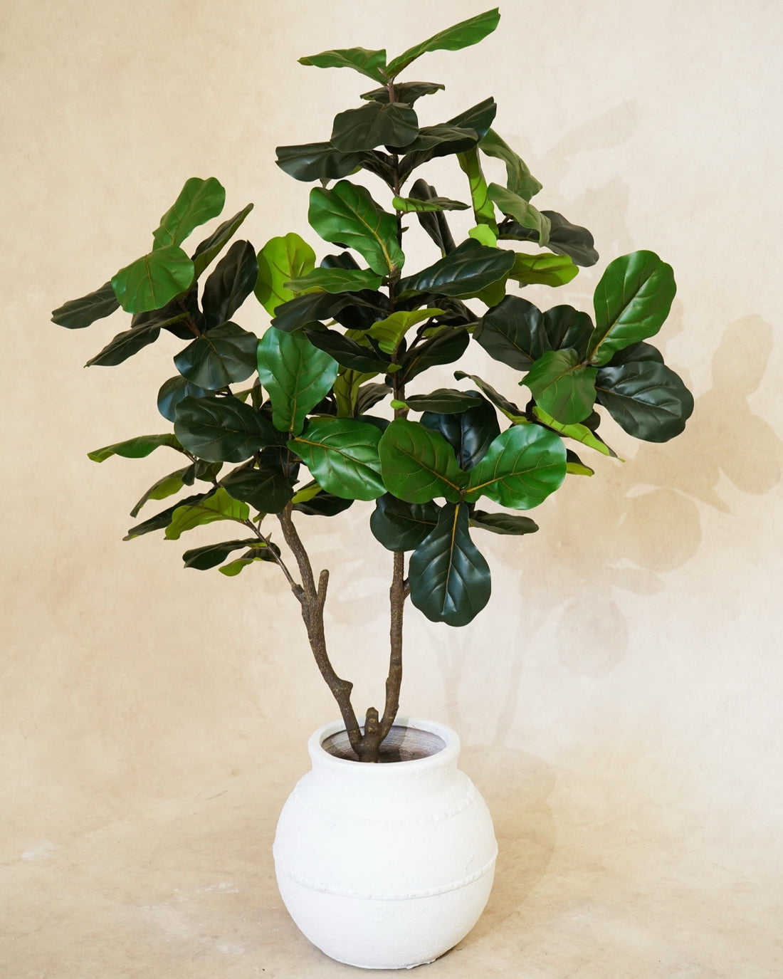 Faux Multi Branch Fiddle Fig Leaf Tree 180CM