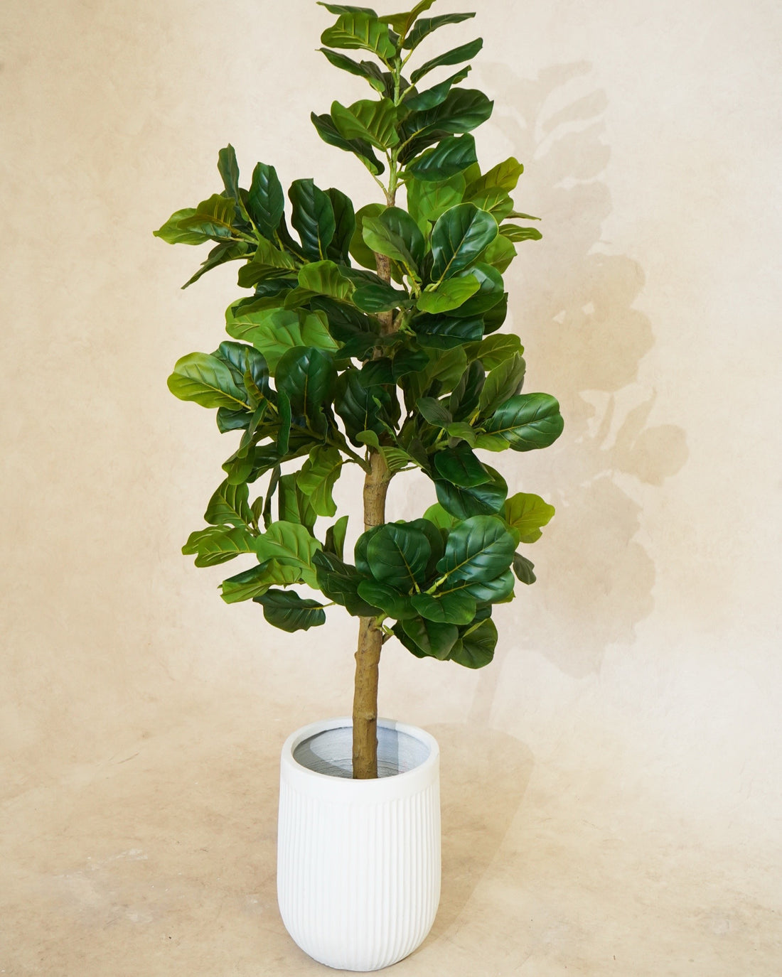 Faux Potted Fiddle Fig Leaf Tree 180CM