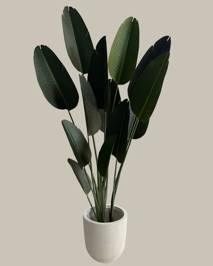 Faux Luxe Birds of Paradise 180CM