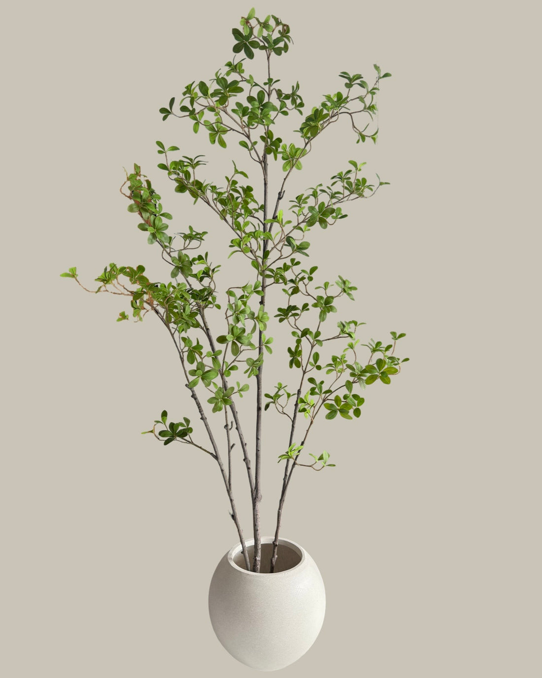 Faux Cape Jasmine Tree 180CM