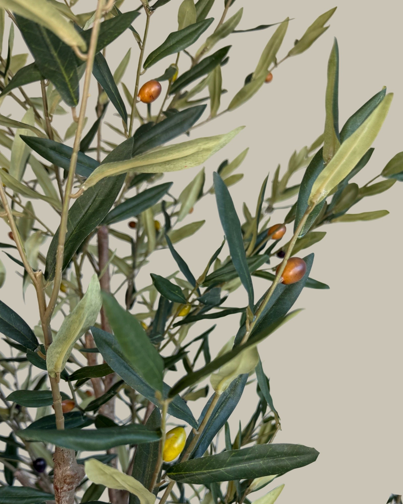 Faux Luxe Olive Tree 220CM