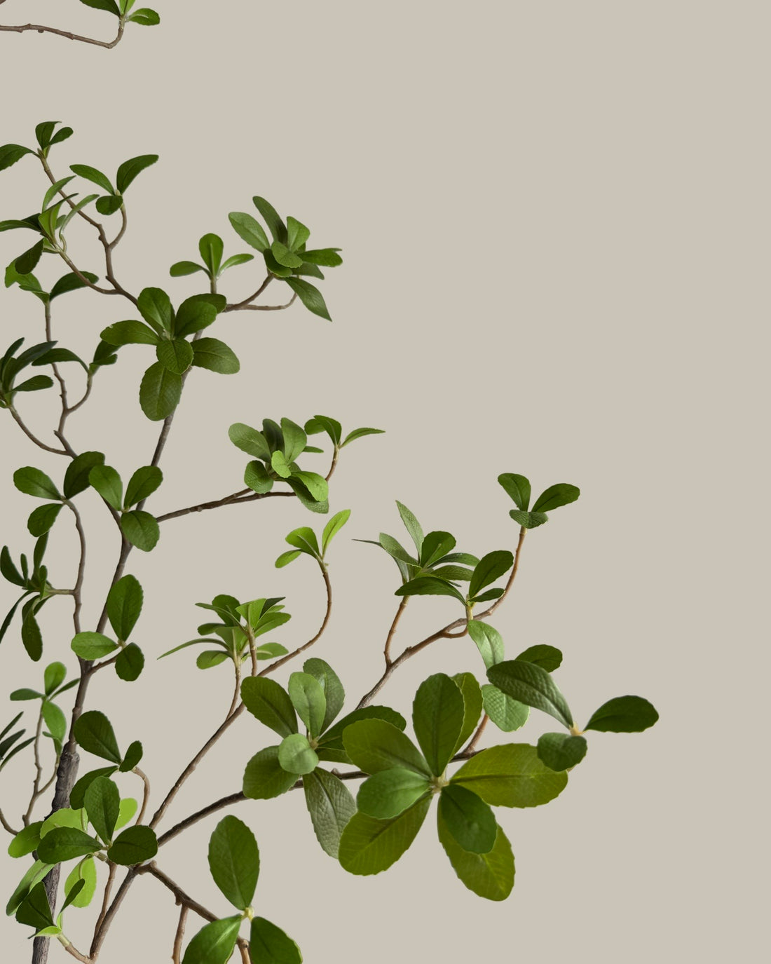 Faux Cape Jasmine Tree 180CM