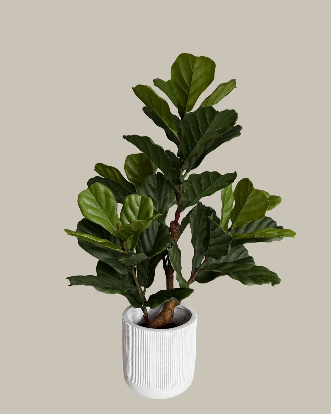 Faux Fiddle Fig Leaf 105CM
