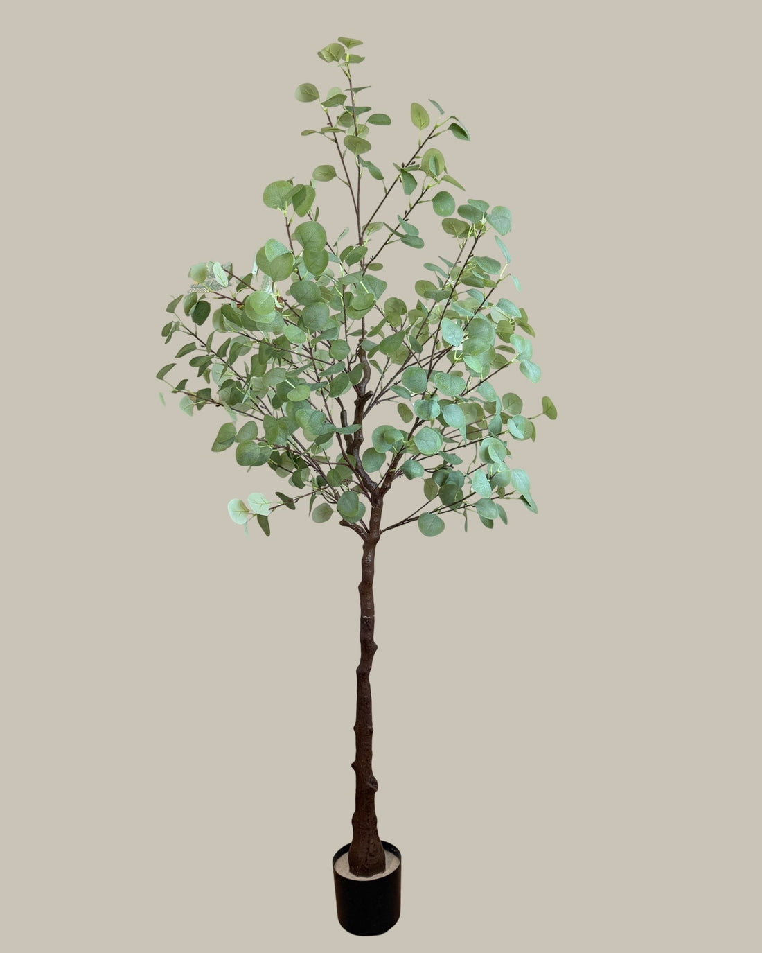 Faux Potted Eucalyptus Tree 180CM