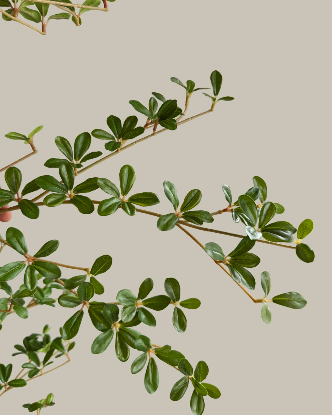 Artificial Shady Lady Olive Tree 180CM