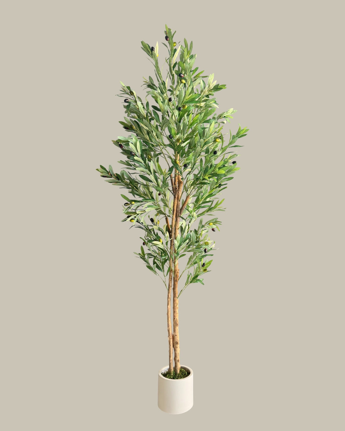 Artificial Olive Tree with Real Wood Trunk 180CM