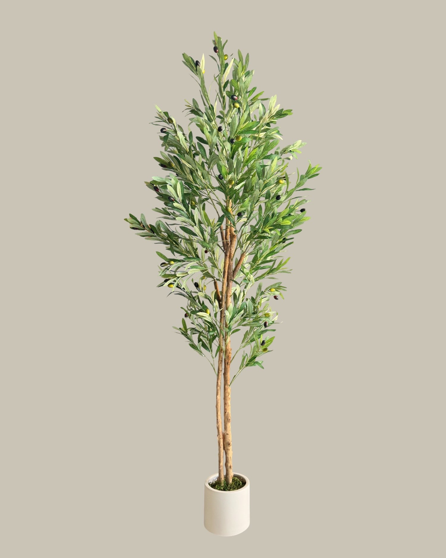 Artificial Olive Tree with Real Wood Trunk 180CM