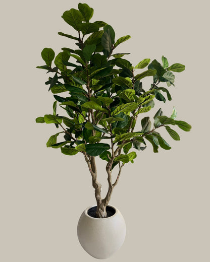 Majestic Faux Fiddle Fig Leaf Tree 220CM