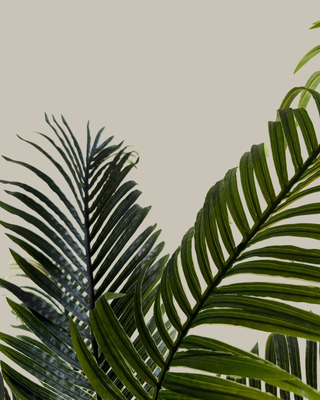Faux Areca Palm Tree 160CM
