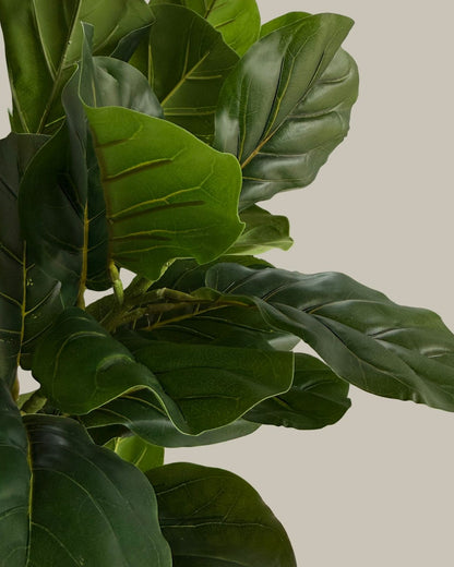 Faux Potted Fiddle Fig Leaf Tree 150CM – leaf detail