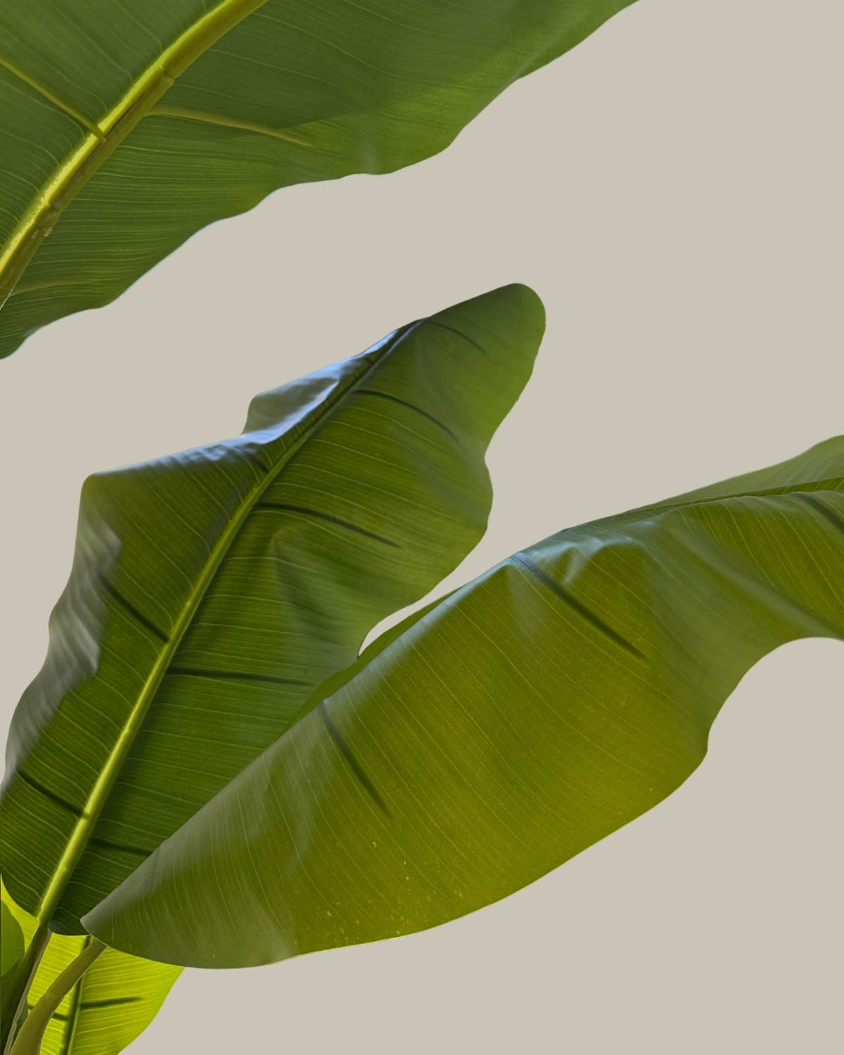 Artificial Banana Tree 180CM