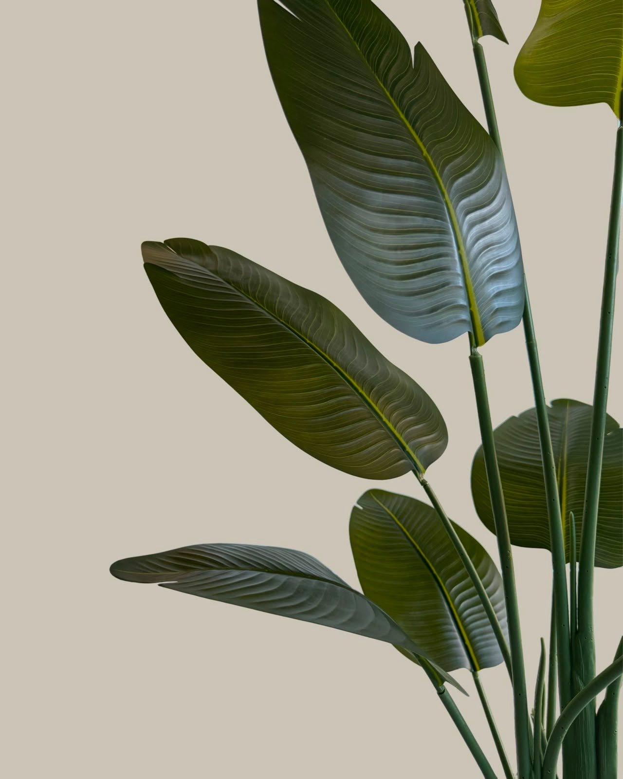 Faux Bird of Paradise Plant 180CM