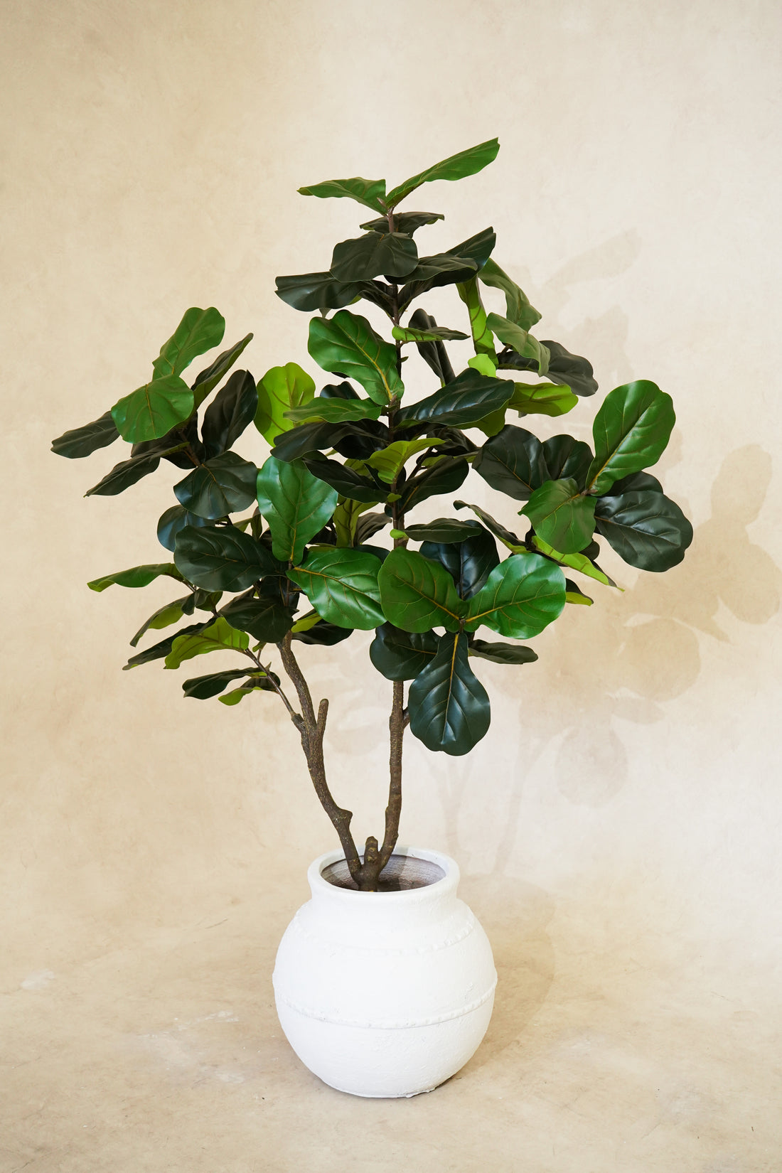 Faux Multi Branch Fiddle Fig Leaf Tree 180CM