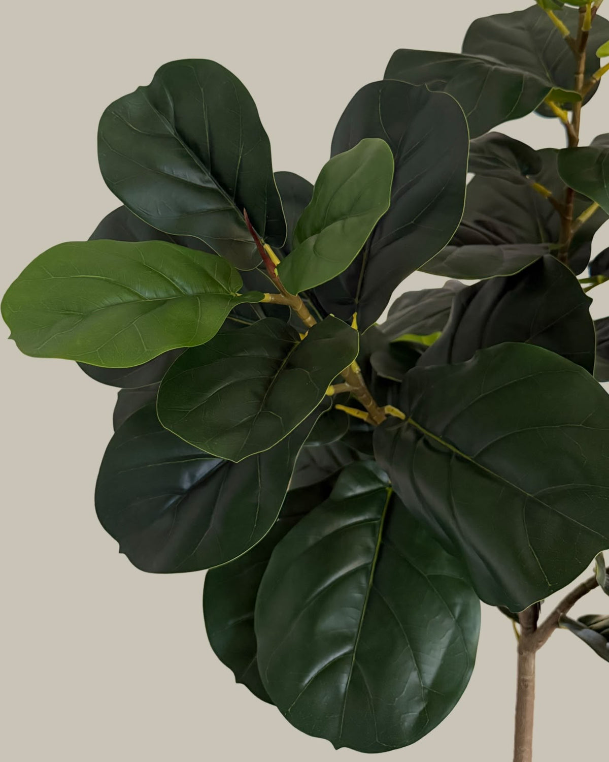 Artificial Fiddle Fig Leaf Tree 150CM