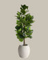 Faux Potted Fiddle Fig Leaf Tree 150CM