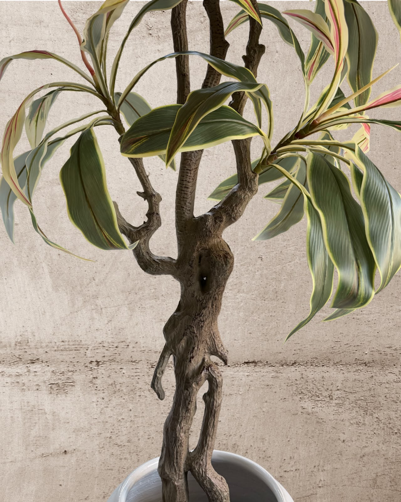 Faux Brazilian Iron Wood Plant 180CM